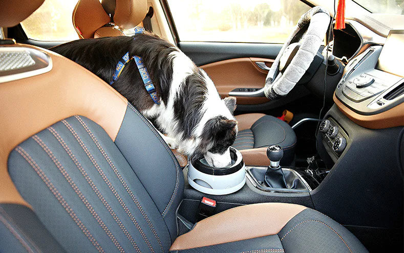 Pet Car Water Bowl for Cats and Dogs, Spill-Proof Design