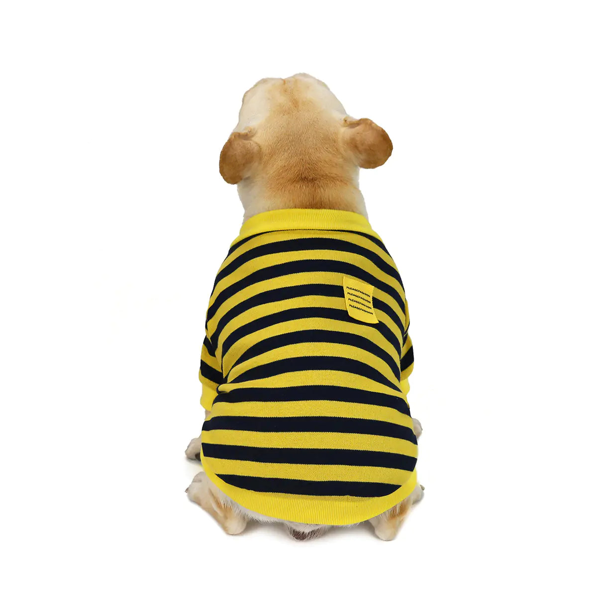 Striped Bullfighting Sweater for Dogs - Fall/Winter Coat