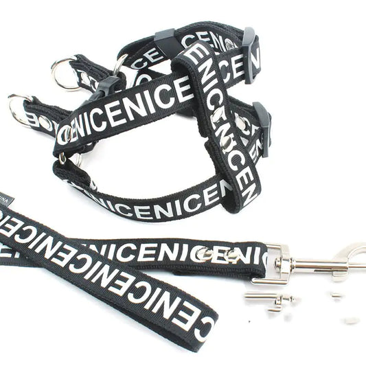 Dog Leash and Collar Set for Pets