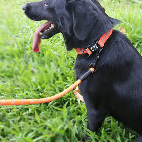 Night Reflective Dog Harness for Pets