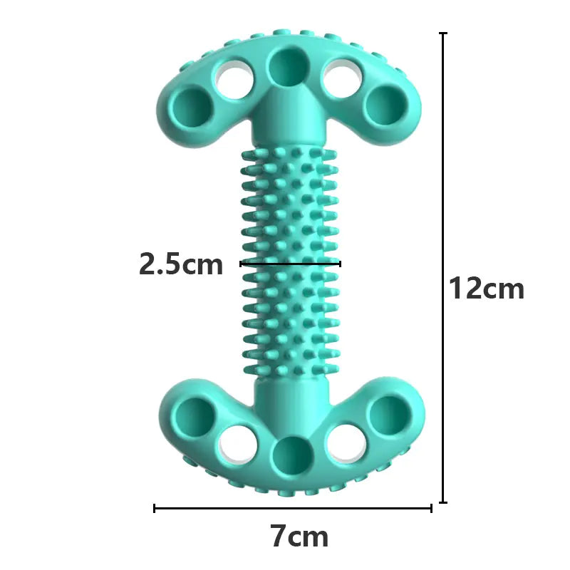 Bite Resistant Dog Bone Teeth Grinding Educational Toy