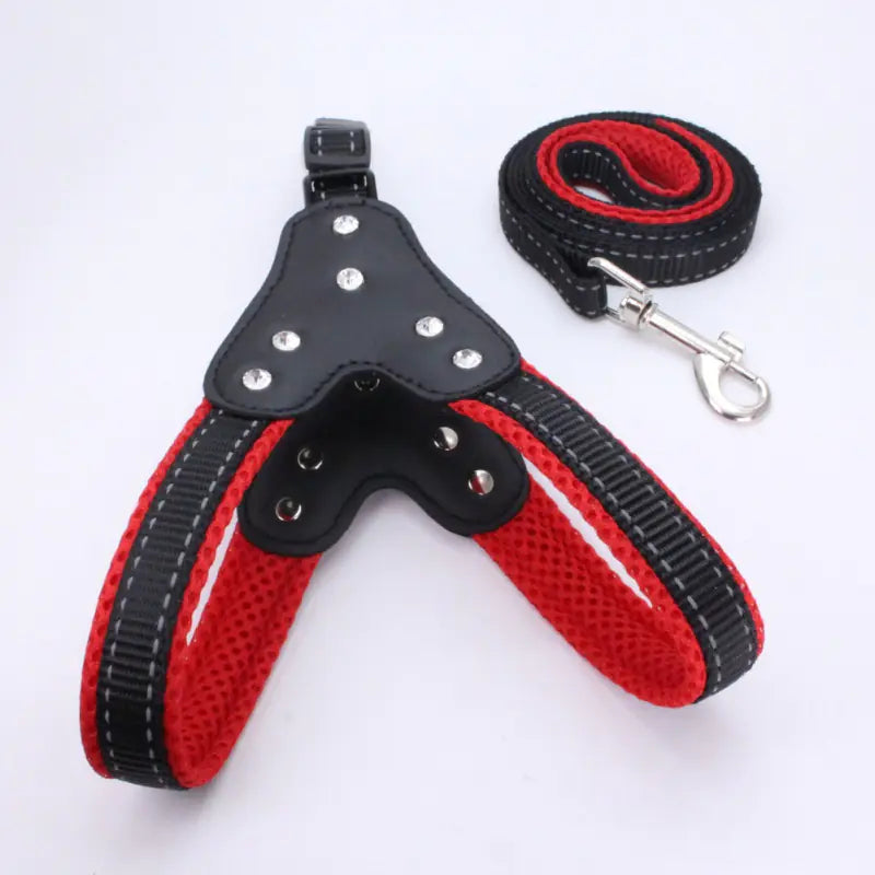 Dog Triangle Harness with Teddy Leash and Strap