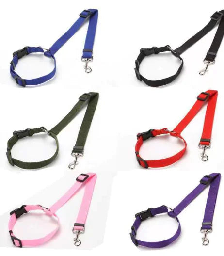 Car Backseat Pet Leash for Safety and Stability