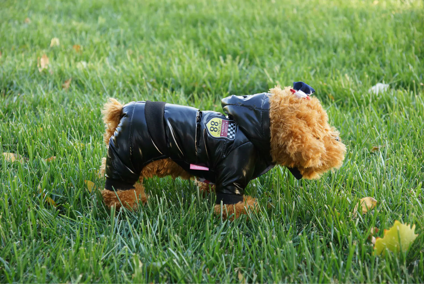 Autumn Winter Pet Down Cotton Jacket for Dogs