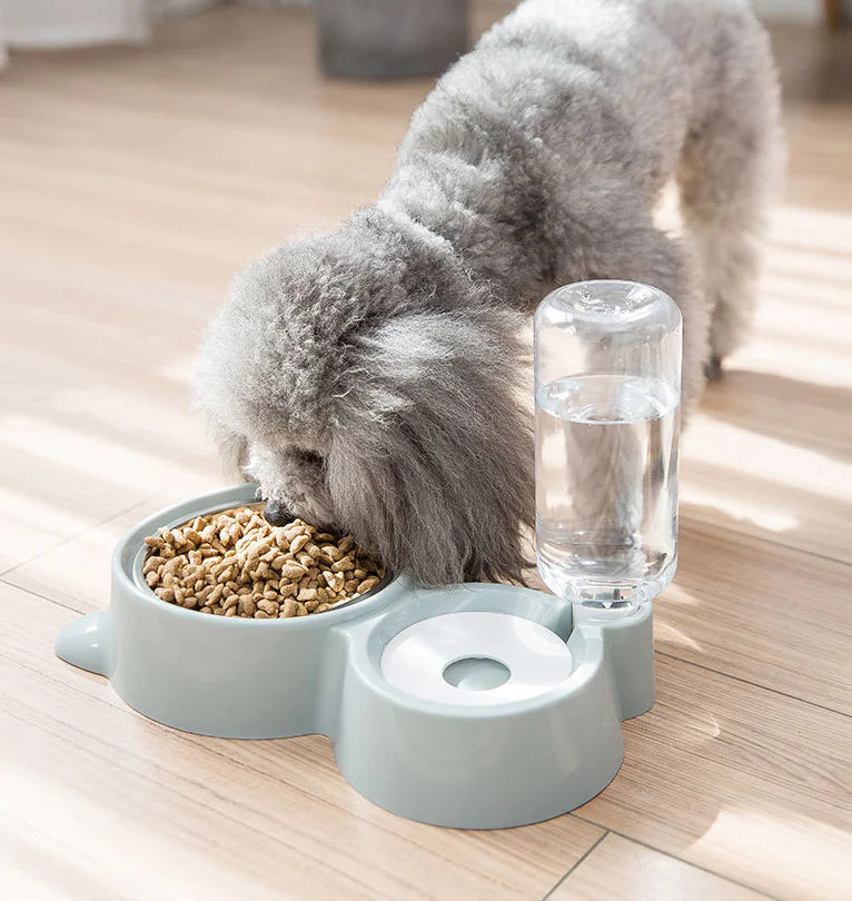Stainless Steel Pet Bowl for Cats and Dogs