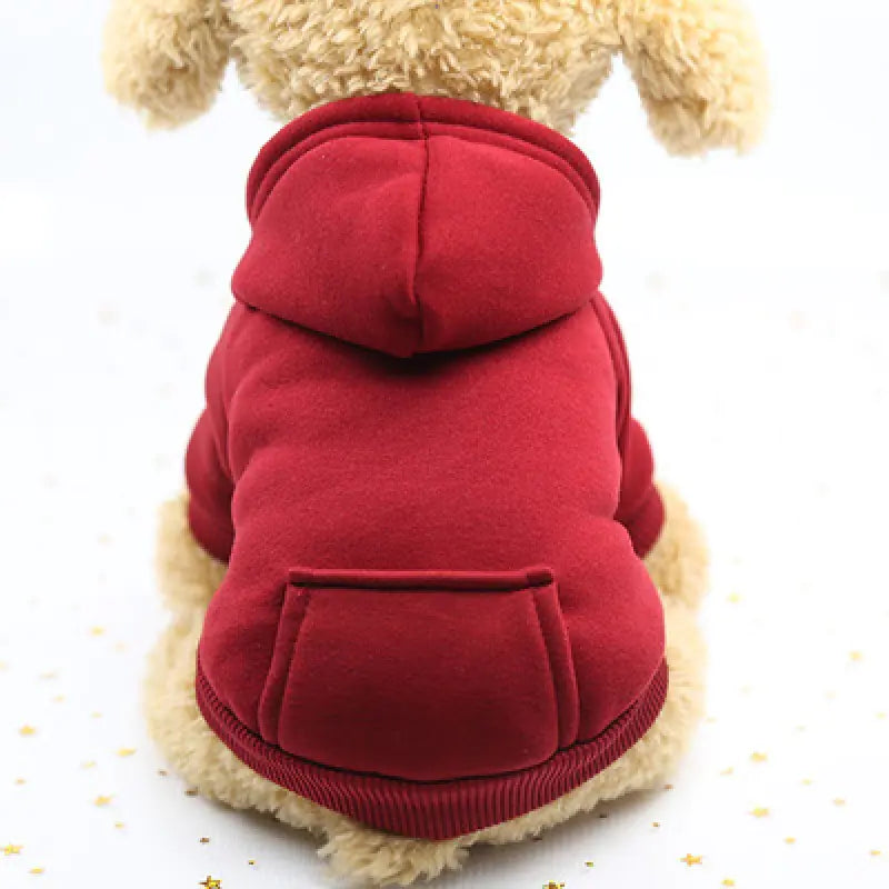 Winter Outfit for Small Dogs - Red Cup Dog Apparel