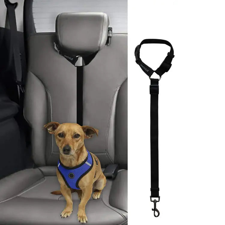 Car Backseat Pet Leash for Safety and Stability