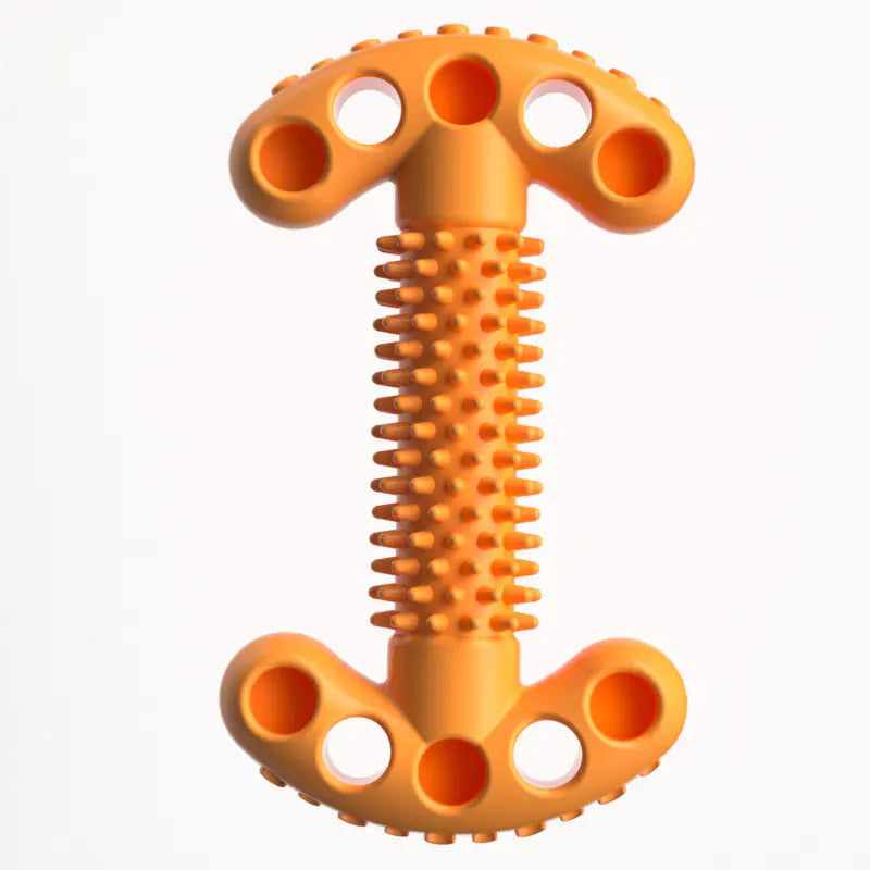 Bite Resistant Dog Bone Teeth Grinding Educational Toy