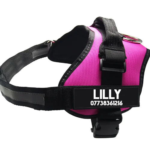 Pet Chest Harness and Dog Leash Supplies