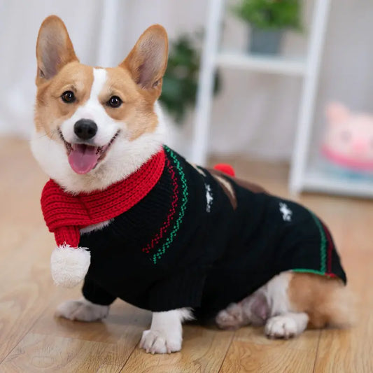 Padded Winter Coat for Shiba Inu Pets
