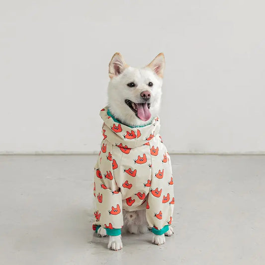 Hooded Raincoat for Dogs - Fashionable Four-Legged Design