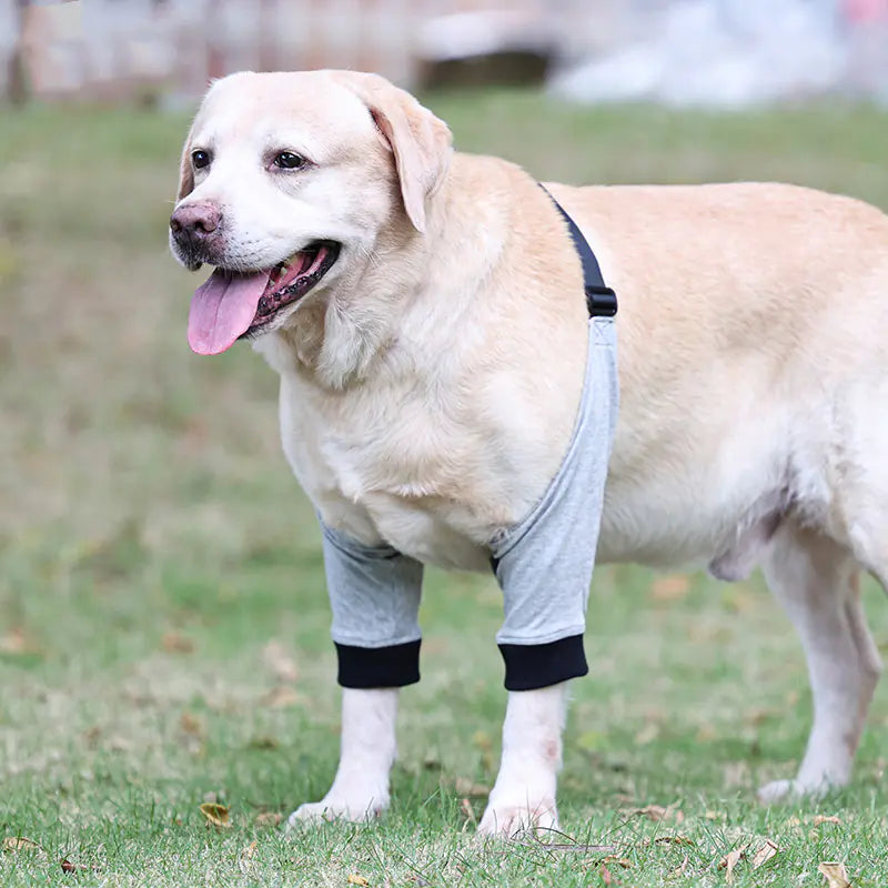 Breathable Cotton Knee Pads for Injured Dog Front Legs