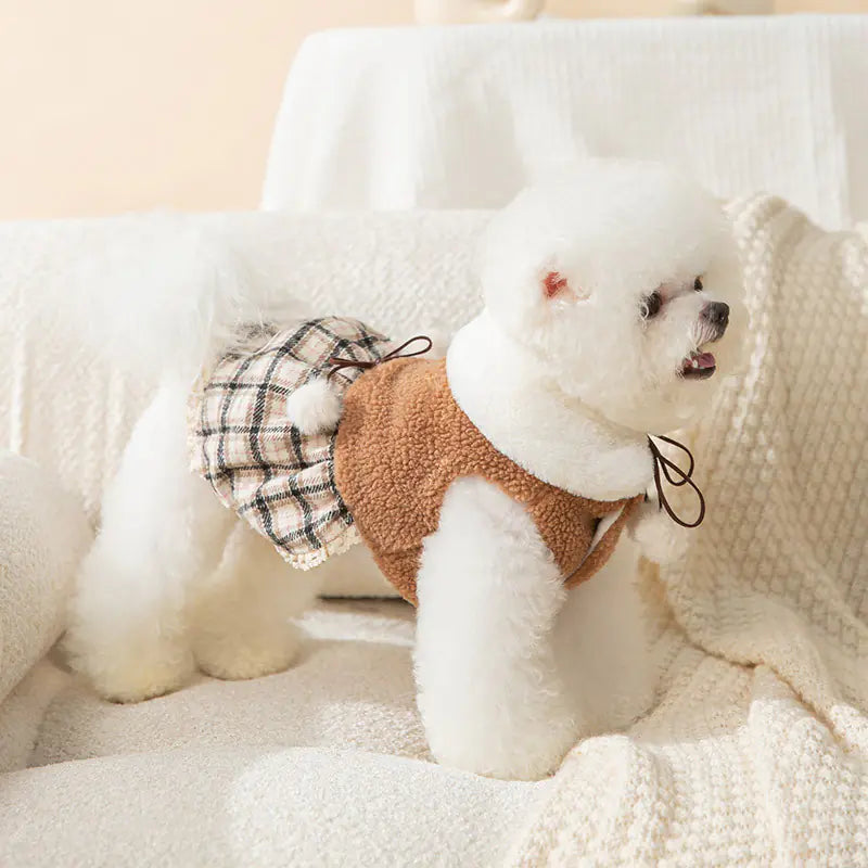 Cute Bear Dress for Fashionable Puppies