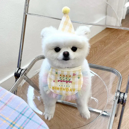 Dog Birthday Cake Bib Towel for Pets