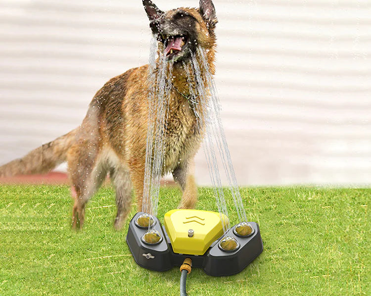 Automatic Drinking Fountain for Cats and Dogs