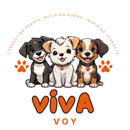 www.vivavoy.store