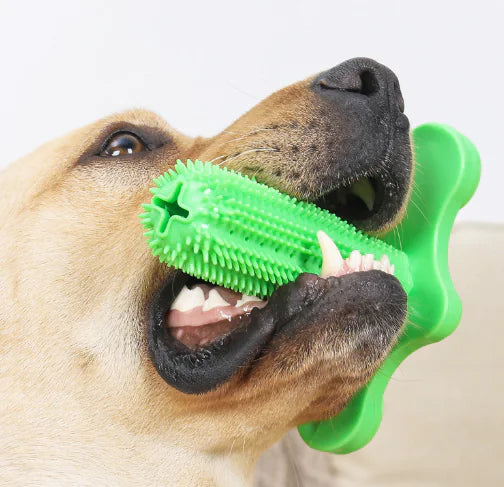 Molar Stick Dog Toy with Leak Feeder Design